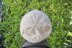 Leadlight Beret