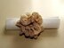 Floral Napkin Rings