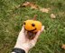 Mini Pumpkin doll