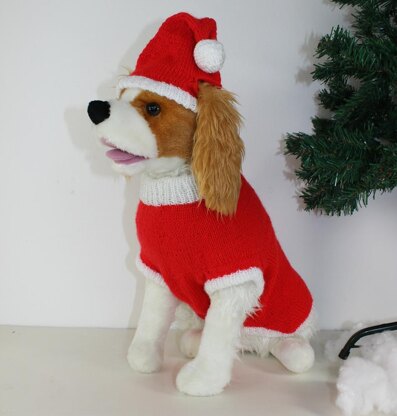 Dog Christmas Santa Hat and Coat