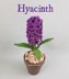 Hyacinth