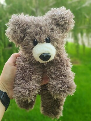 Hang in There Bear