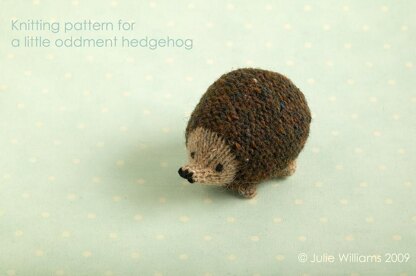 Little oddment hedgehog