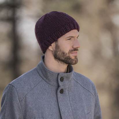 Blue Sky Fibers Winnipeg Hat (Free)