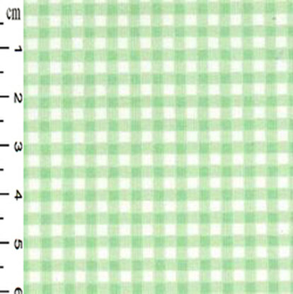 Mint Gingham