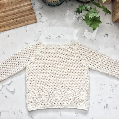 Baby Sand Dollar Sweater