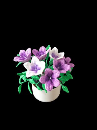 Crochet Petunia flowers