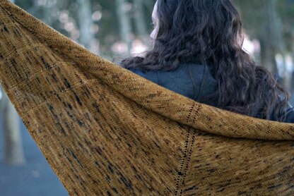 Harvest Moon Shawl