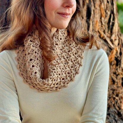 Ginger Cinnamon Cowl