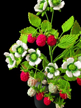 Crochet Raspberry plant