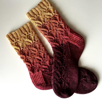 Asterales Socks