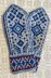 "Blue Dream" Mittens