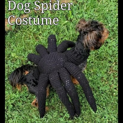 Spider Dog Costume