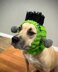 Frankenstein Dog Snood