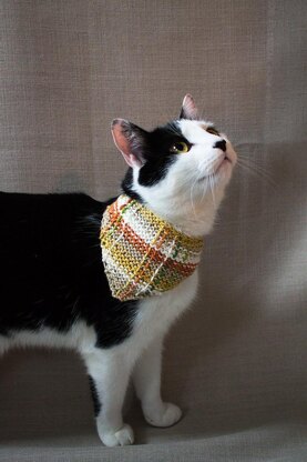 Pet neckerchief