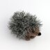 Curious hedgehog