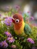 Fischer's Lovebird