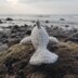 Knitted Dolphins