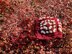 Rosalynn Granny  Bonnet