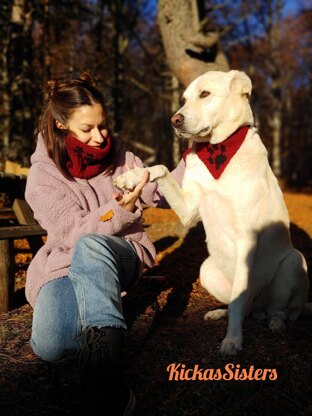 Matching cowl and dog bandana