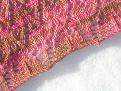 Fuchsia Bloom Shawlette