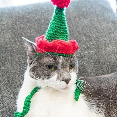 Cat's Elf Hat