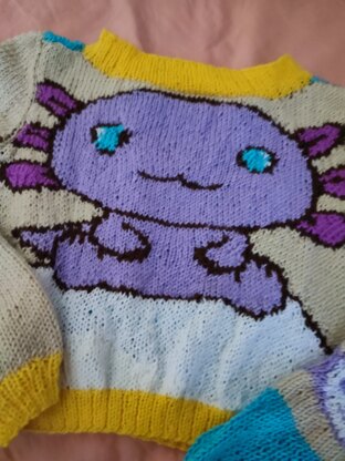 Axolotl's sweater