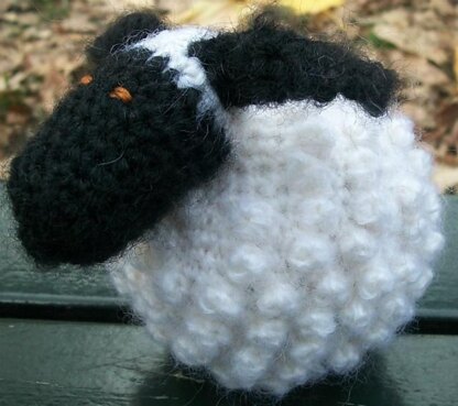 Chubby Sheep