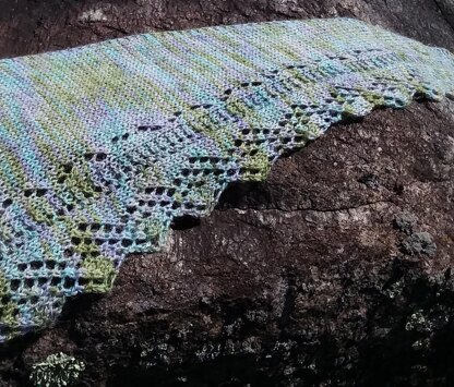 Bloom of Spring Shawl