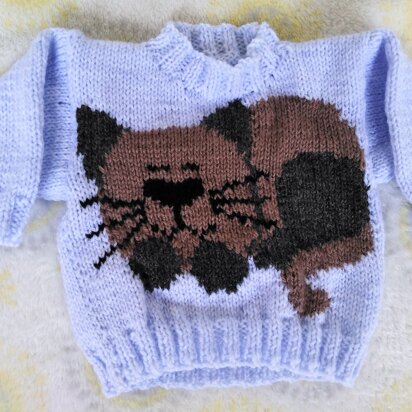 Sleeping Cat Baby Jumper