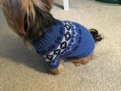 Yoke Dog Sweater