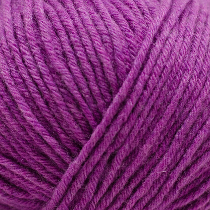Fuschia (201077).