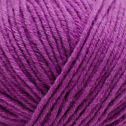 Fuschia (201077)