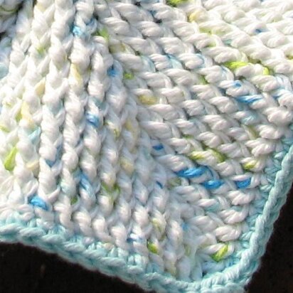 FPdc Scrubby & Dishcloth