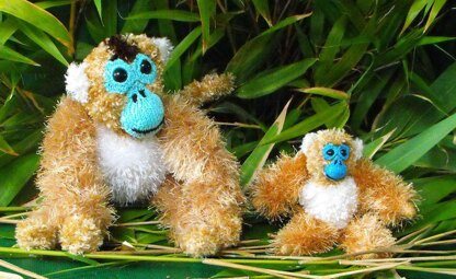 GILBERT AND BABY GEORGE THE GOLDEN MONKEYS