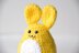 Easter Bunny Crochet Pattern, Easter Bunny Amigurumi Pattern