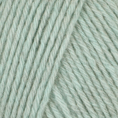 Mint (201328)