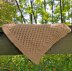 Garden Trellis Dishcloth