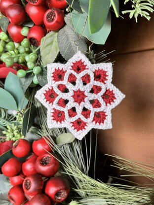 Winter Star Ornament