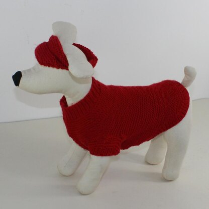 Small Dog 4 Ply Coat,Visor & Pixie Hat