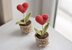 Valentine’s Day Heart Plant