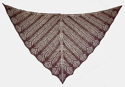 Oren Shawl