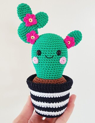 Cactus Friends