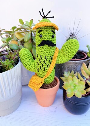 Curtis the Cactus
