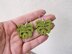 Monstera earrings