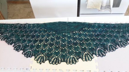 Arlington Shawl #2