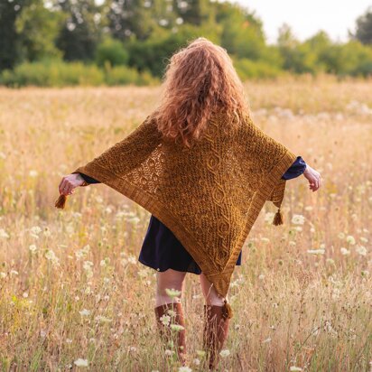 Hollywood and Vine Shawl