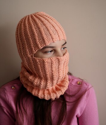 Winter Ski Mask