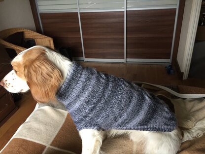 Dog jumper