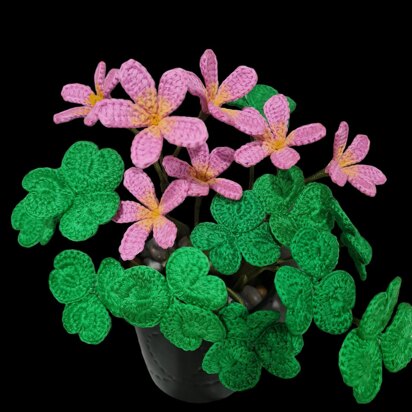 Crochet Oxalis flowers